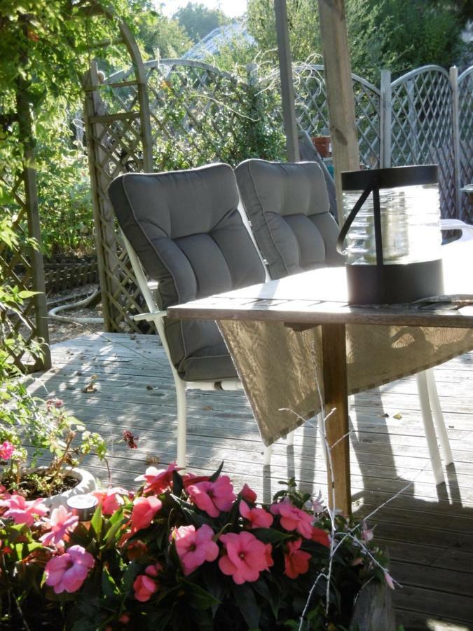 Le Chat Qui Peche B&B Châteauneuf-la-Forêt Exterior foto