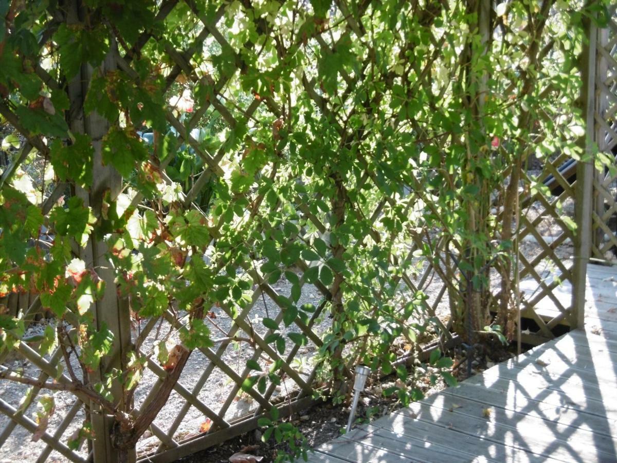 Le Chat Qui Peche B&B Châteauneuf-la-Forêt Exterior foto